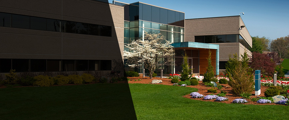 Delbarton Landscapers