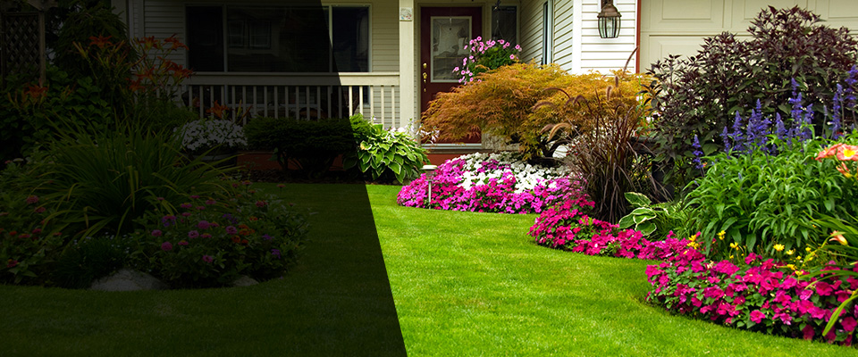 Delbarton Landscapers